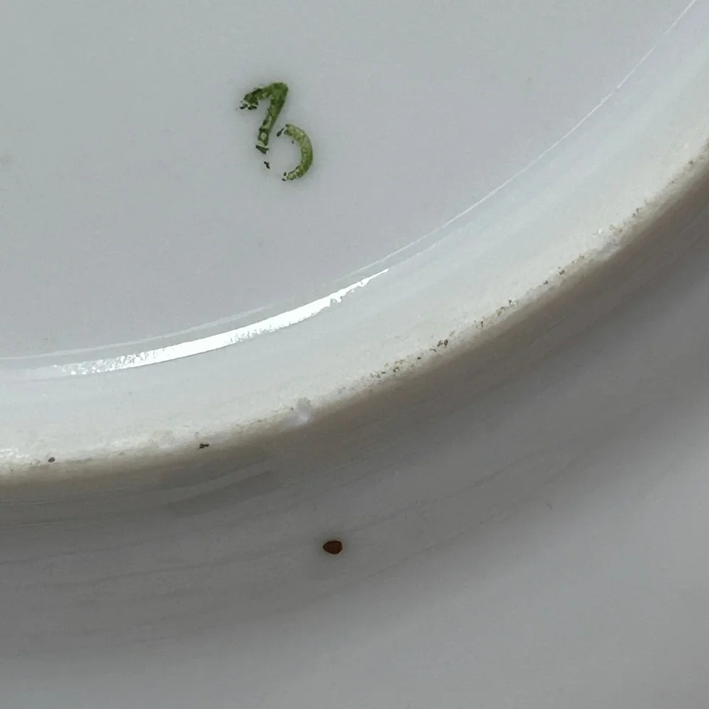Favolina Karolina Jarolina Porcelain Salad Plate 3879 Floral‎ Silver Scalloped 7